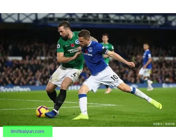 英超埃弗顿最近状态回暖，持续提升球队竞争力。